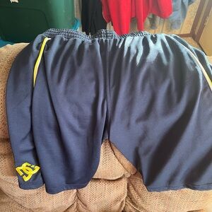Men’s DC Shorts size M